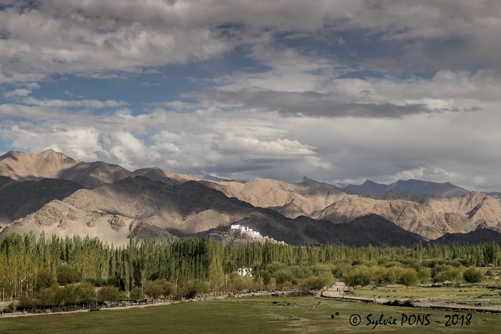 Ladakh-2018-SPons-def-11.jpg
