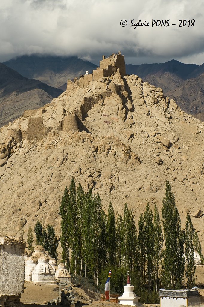 Ladakh-2018-SPons-def-17.jpg
