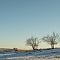 Aubrac-hiver-2022-SPons-08.jpg