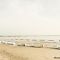 Bassin-Arcachon-2022-SPons-05.jpg