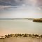 Bassin-Arcachon-2022-SPons-22.jpg